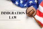 Reasons To Consult With A Work Permit Immigration Lawyer